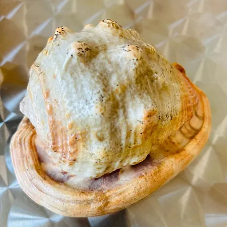 Summerland Niki Appartamento