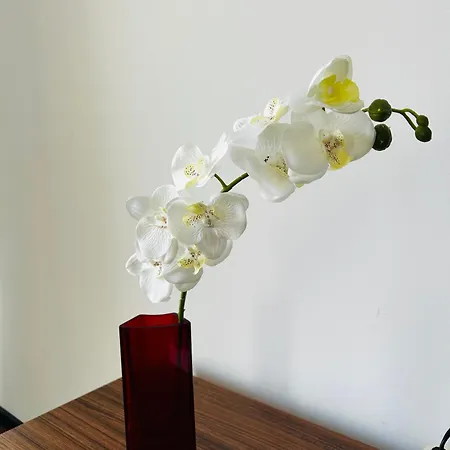 Summerland Niki Apartment Mamaia